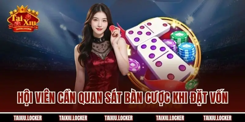 Hội viên cần quan sát bàn cược khi đặt vốn